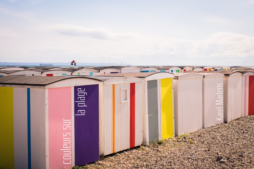 le havre, un été au havre, normandie, port, grandes voiles
