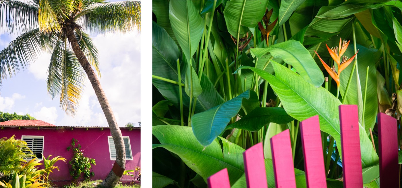 portrait, architecture, créole, atelier, bijou, guadeloupe