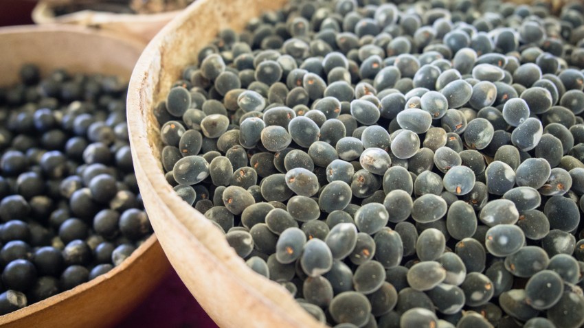 portrait, architecture, créole, atelier, bijou, guadeloupe