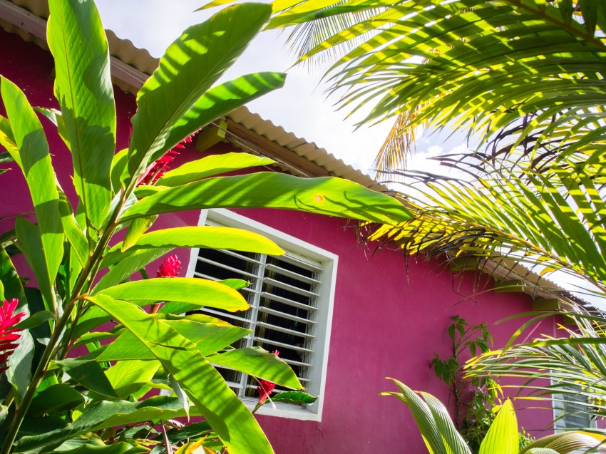 portrait, architecture, créole, atelier, bijou, guadeloupe