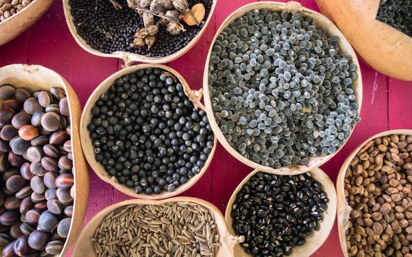 portrait, architecture, créole, atelier, bijou, guadeloupe