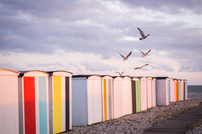 le havre, un été au havre, normandie, plages, cabanes, karel martens