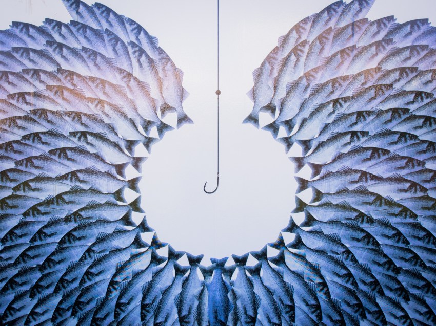 le havre, un été au havre, normandie, plages, cabanes, karel martens