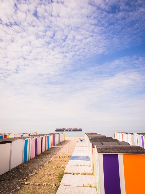 le havre, un été au havre, normandie, port, grandes voiles