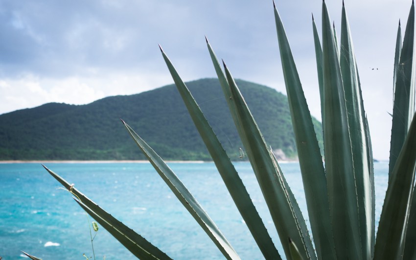guadeloupe, couleur, grande anse, port louis, cluny