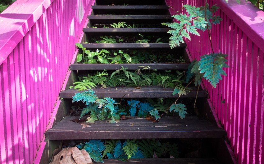 guadeloupe, couleur, grande anse, port louis, cluny