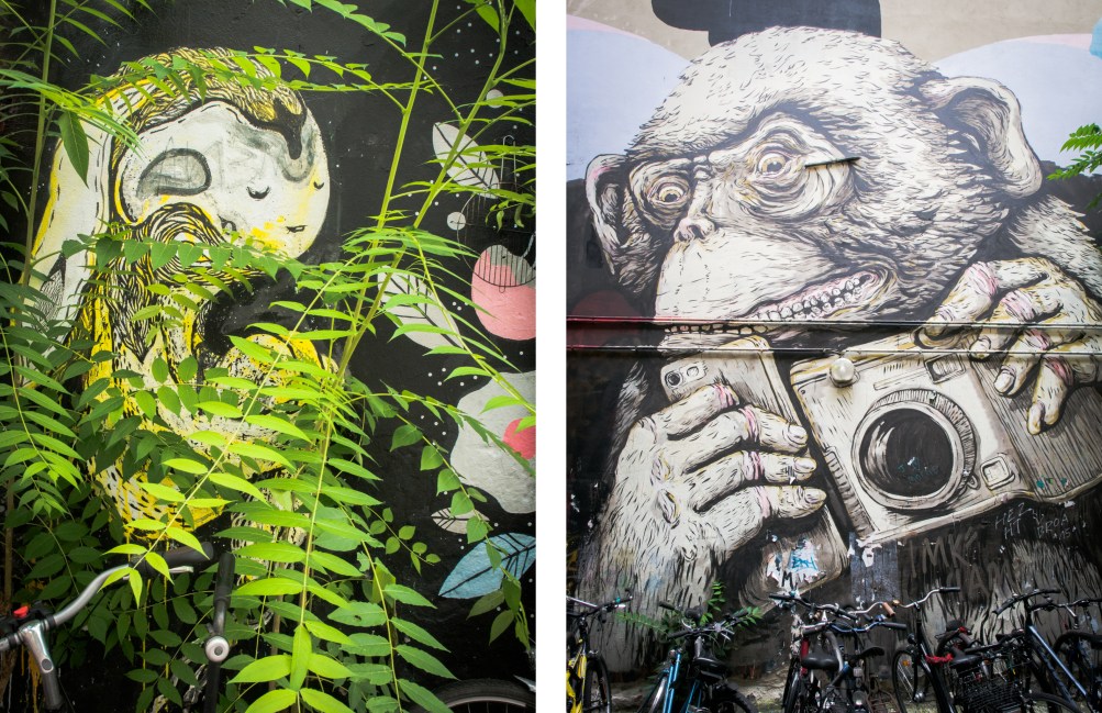 berlin, allemagne, street art, Hackesche Höfe, Haus Schwarzenberg