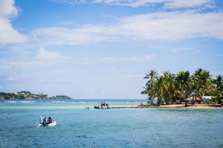 guadeloupe, gwoka, ka, catamaran, ilet gosier, creole trip, voiles caraibes