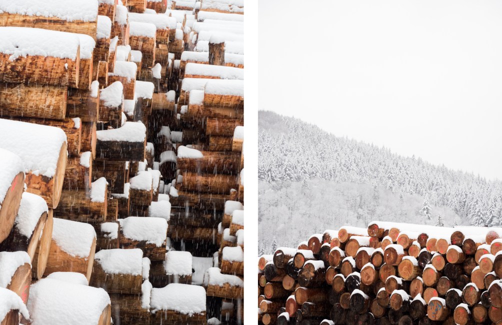 neige, forêt noire, allemagne, schwarzwald, blackforest, seebach