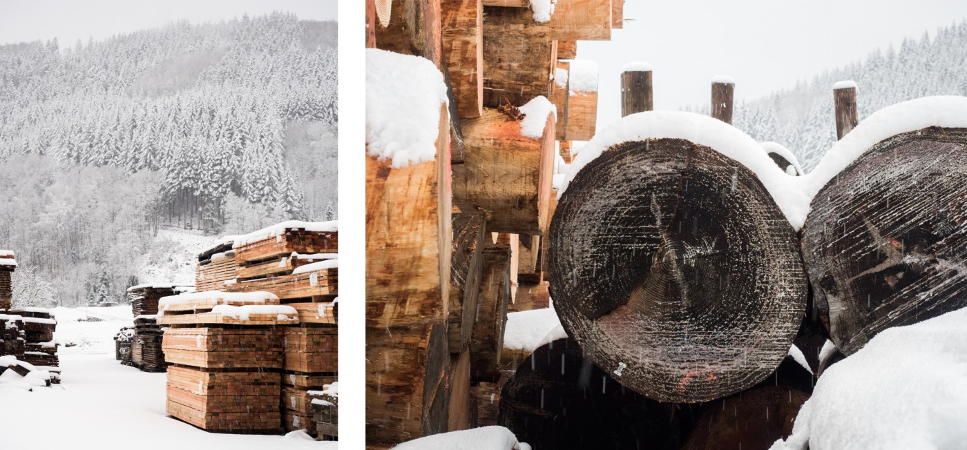 neige, forêt noire, allemagne, schwarzwald, blackforest, seebach