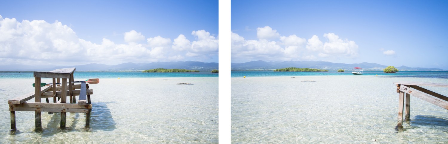 lagon, kayak, mangrove, ilet la biche, sainte rose, guadeloupe