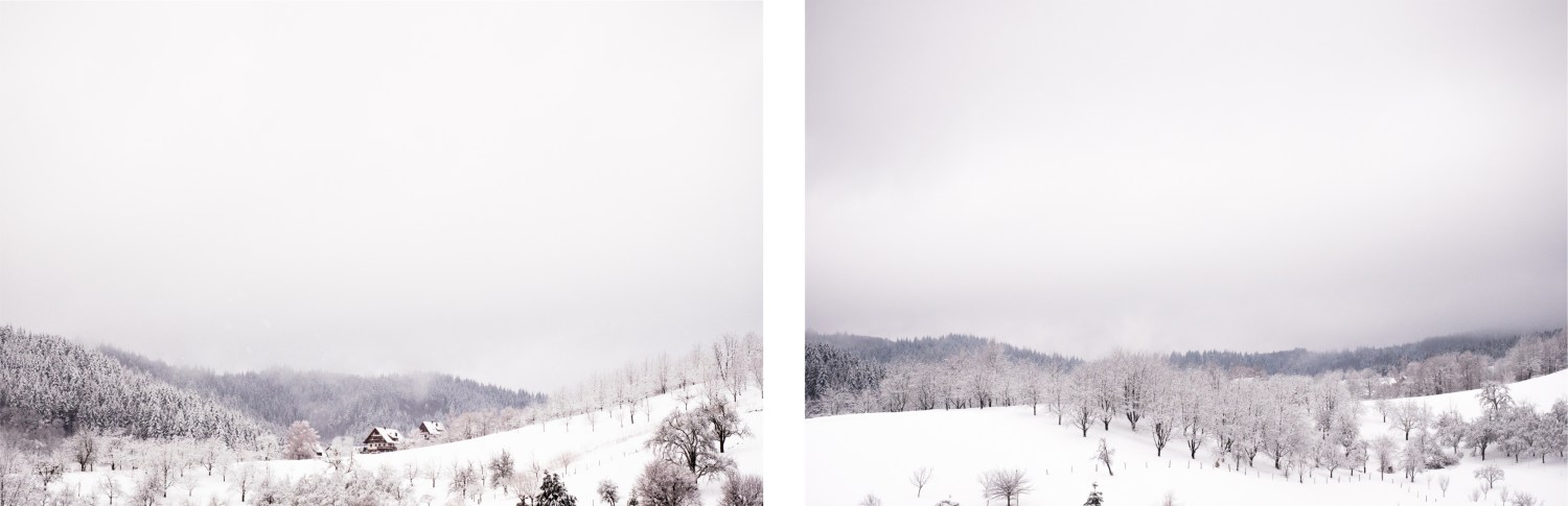 neige, forêt noire, allemagne, schwarzwald, blackforest, seebach