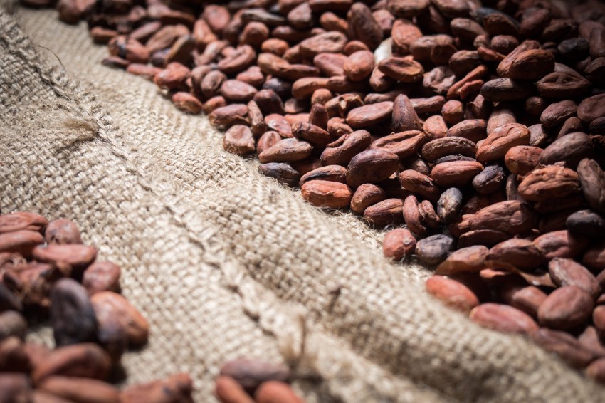 guadeloupe, nature, verte, vieux habitants, grivelière, basse terre