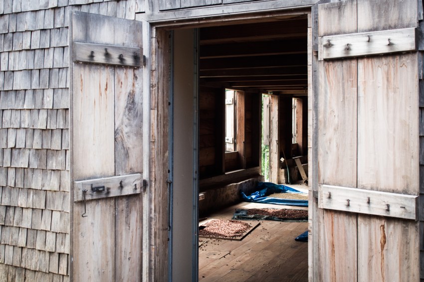 guadeloupe, nature, verte, vieux habitants, grivelière, basse terre