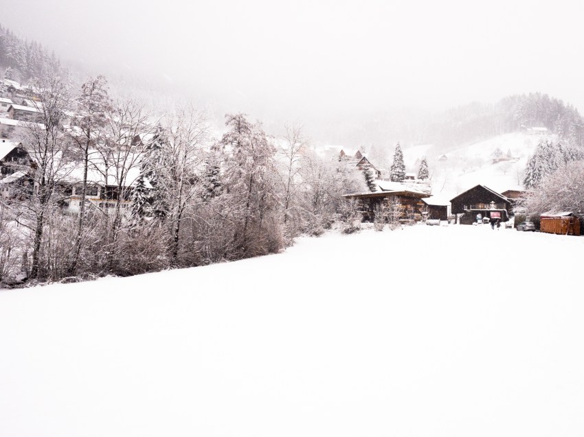 neige, forêt noire, allemagne, schwarzwald, blackforest, seebach