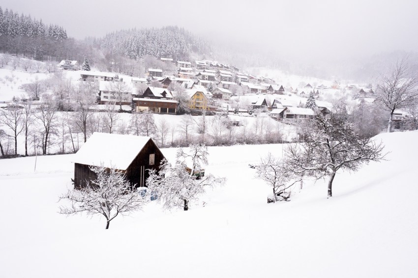 neige, forêt noire, allemagne, schwarzwald, blackforest, seebach