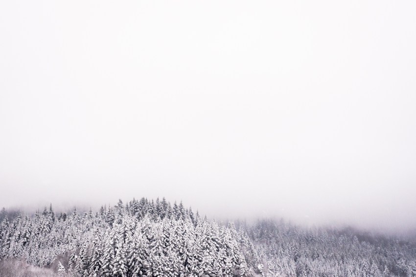 neige, forêt noire, allemagne, schwarzwald, blackforest, seebach