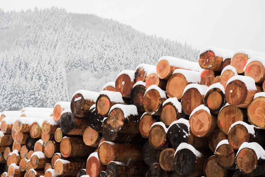 neige, forêt noire, allemagne, schwarzwald, blackforest, seebach