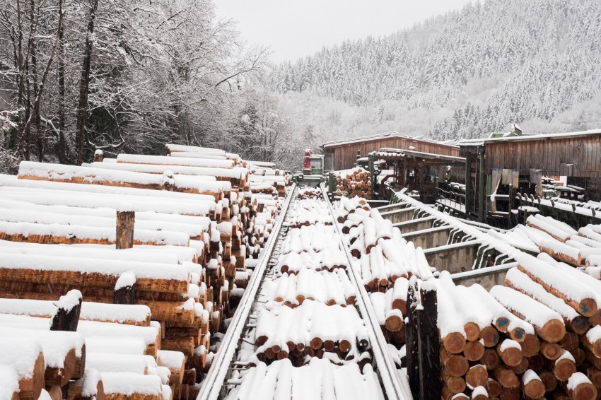 neige, forêt noire, allemagne, schwarzwald, blackforest, seebach