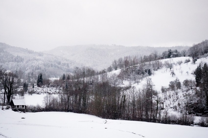 neige, forêt noire, allemagne, schwarzwald, blackforest, seebach