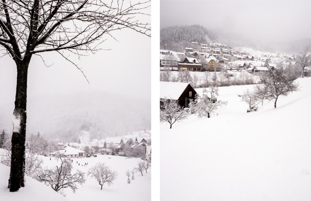 neige, forêt noire, allemagne, schwarzwald, blackforest, seebach