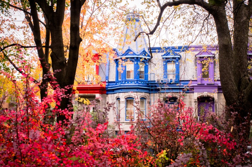 canada, plateau, mont royal, street