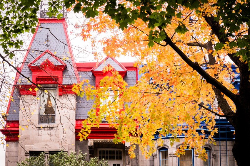 canada, plateau, mont royal, street