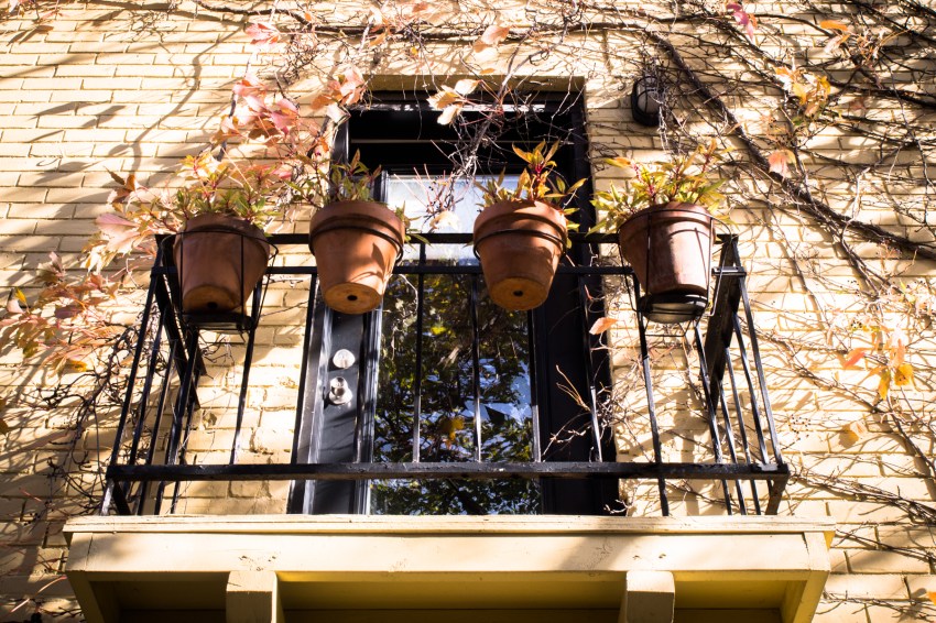 canada, plateau, mont royal, street