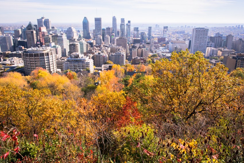 l automne à montréal-point de vue montreal- Parc Montréal-skyline montreal