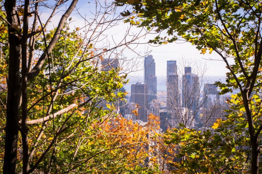 l automne à montréal-point de vue montreal- séjour canada-gratte ciel montreal-voyage quebec