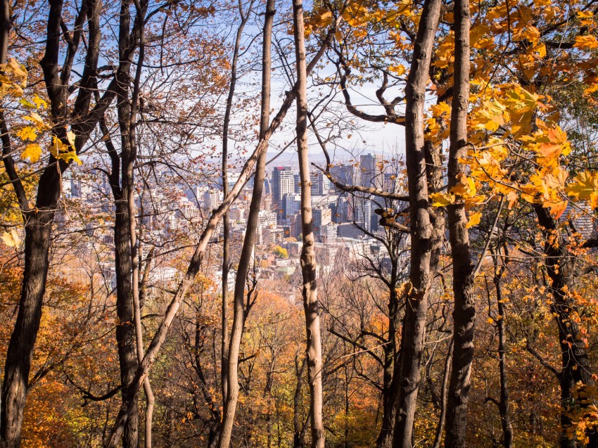 canada, plateau, mont royal, street