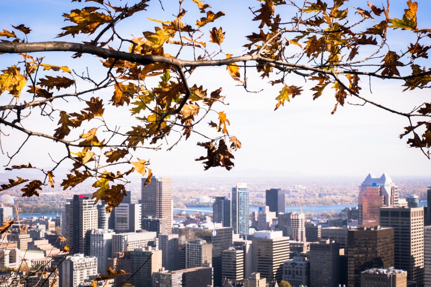 l automne à montréal-skyline montréal-parc montréal qc
