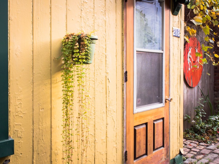 canada, plateau, mont royal, street