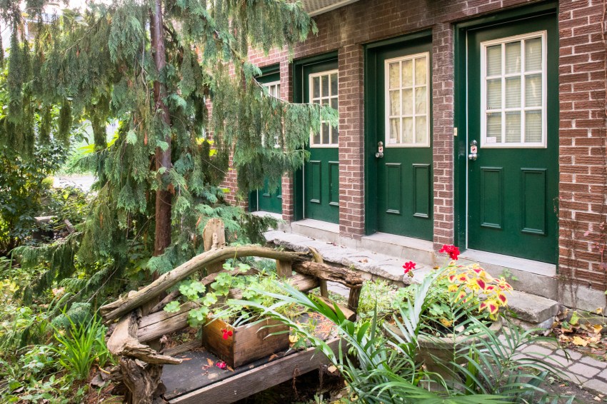 canada, plateau, mont royal, street