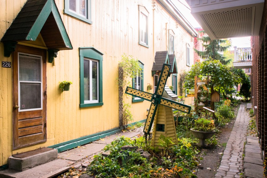 canada, plateau, mont royal, street