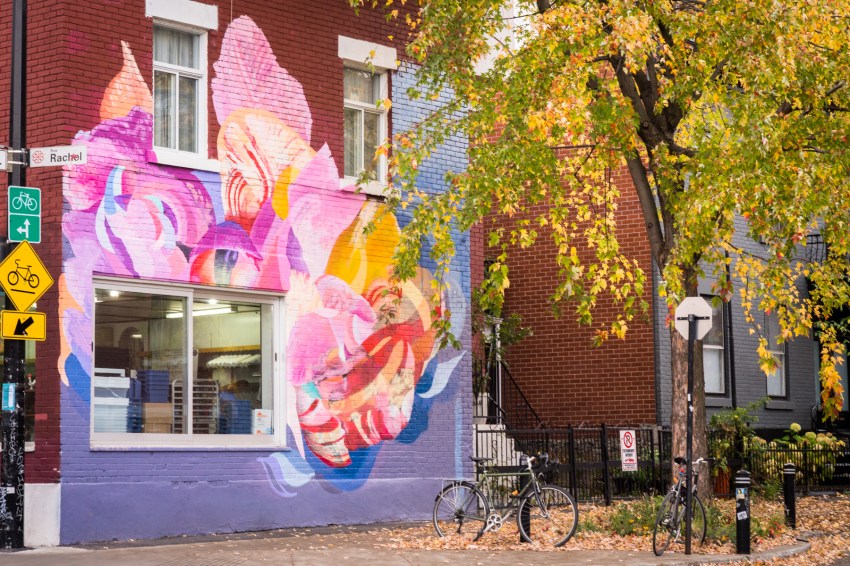 canada, plateau, mont royal, street