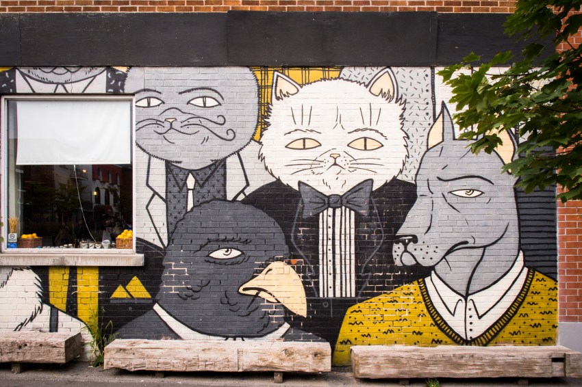 canada, plateau, mont royal, street