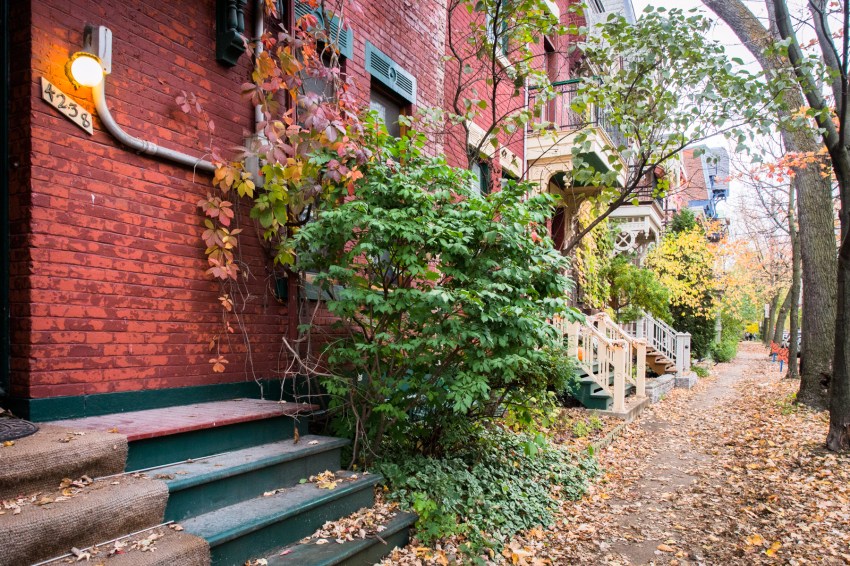 canada, plateau, mont royal, street