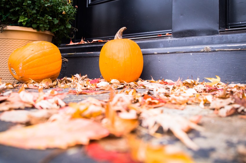 canada, plateau, mont royal, street