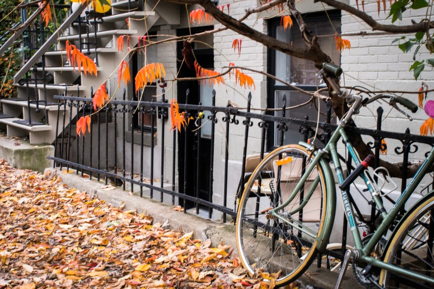 velo montréal-canada, plateau, mont royal, street