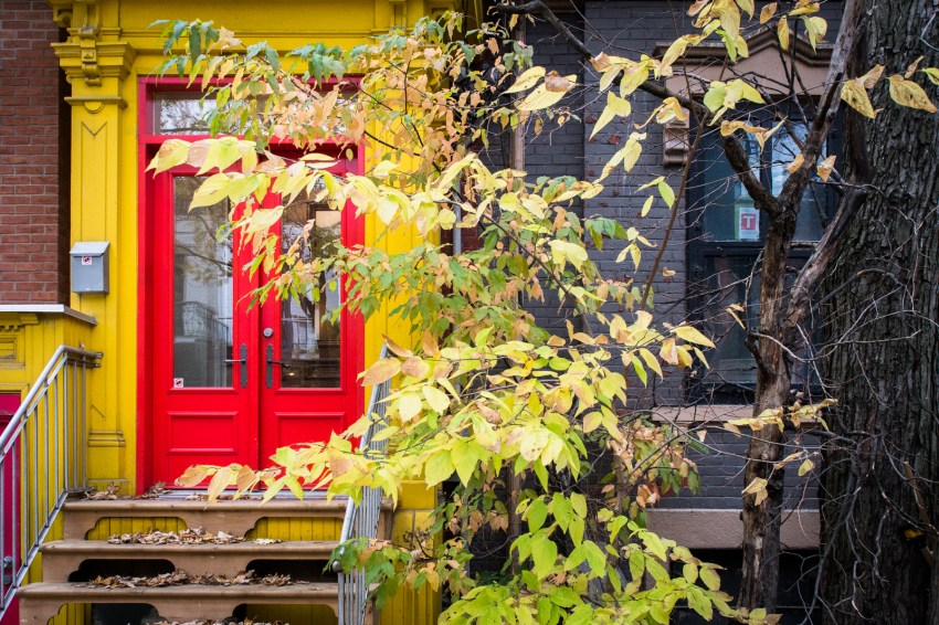 canada, plateau, mont royal, street