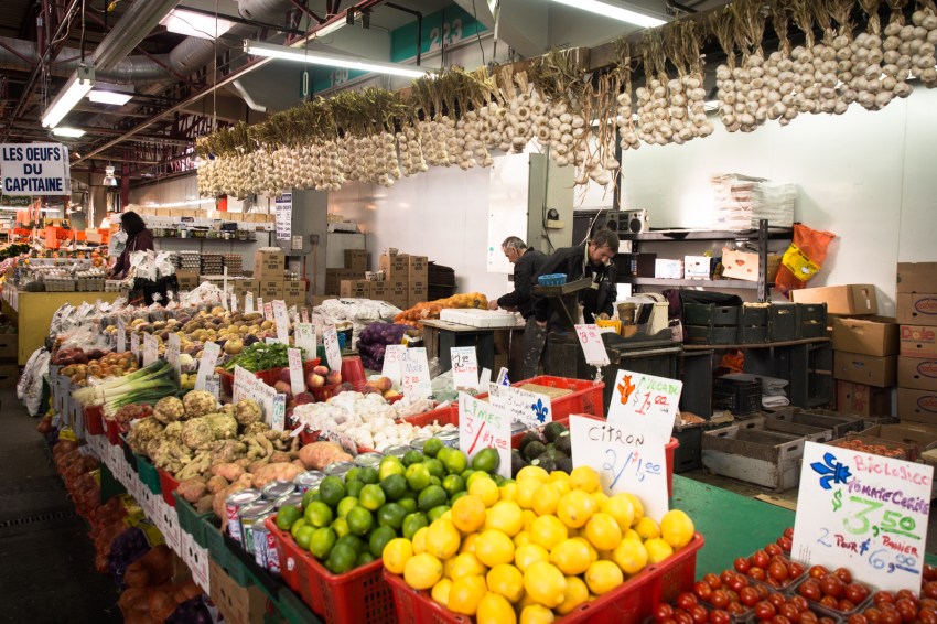 canada, plateau, mont royal, street