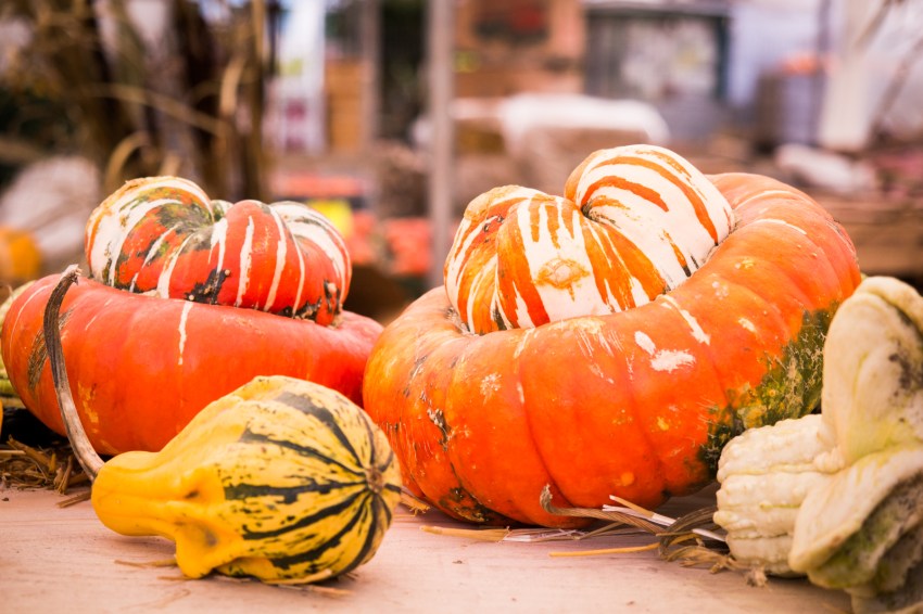 canada, plateau, mont royal, street