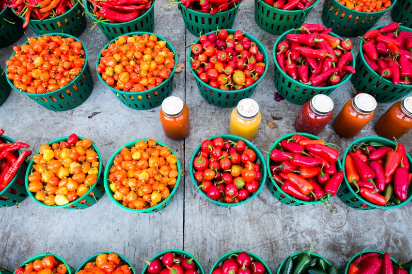 canada, plateau, mont royal, street