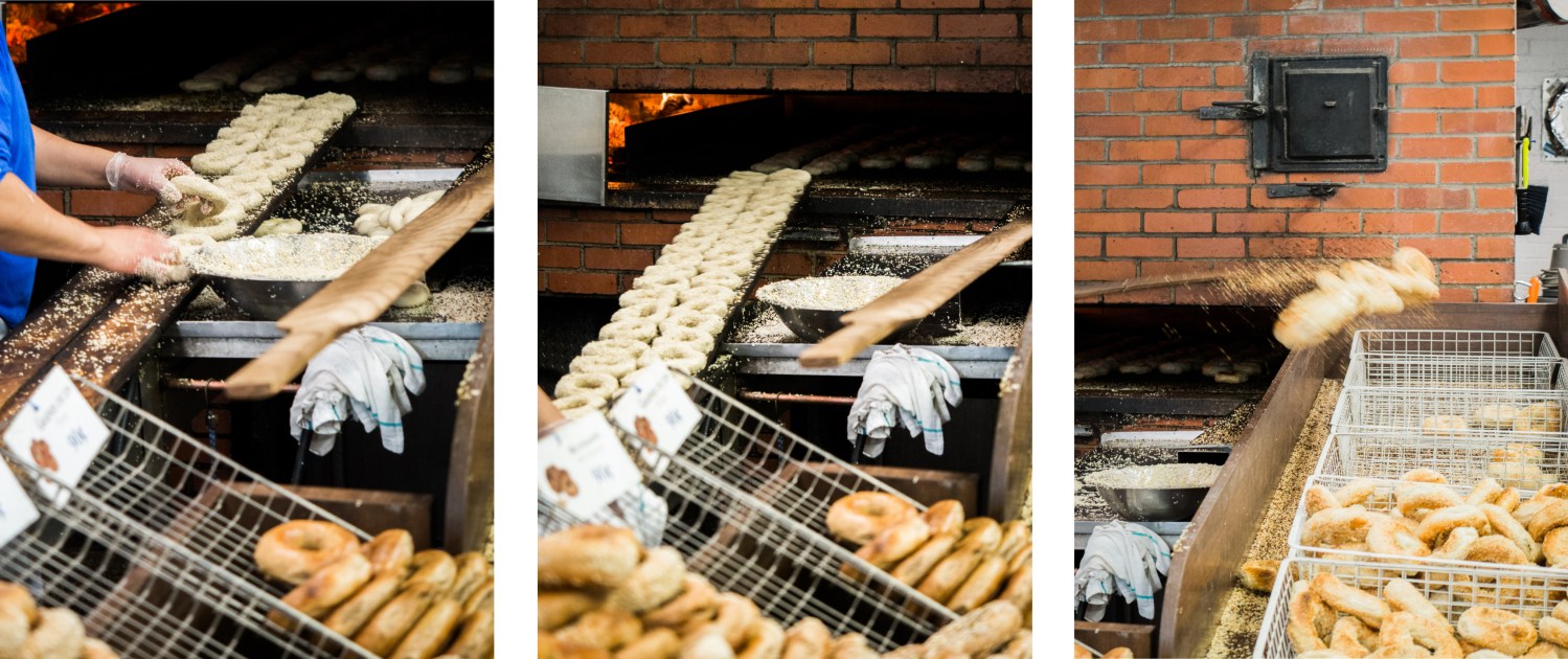 canada, plateau, mont royal, street