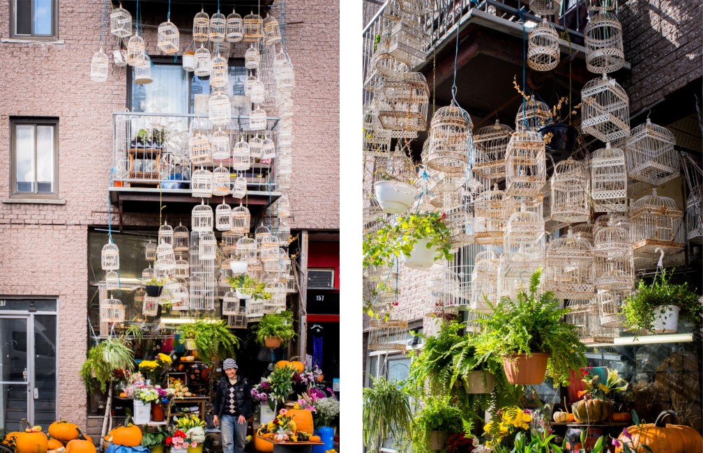 canada, plateau, mont royal, street