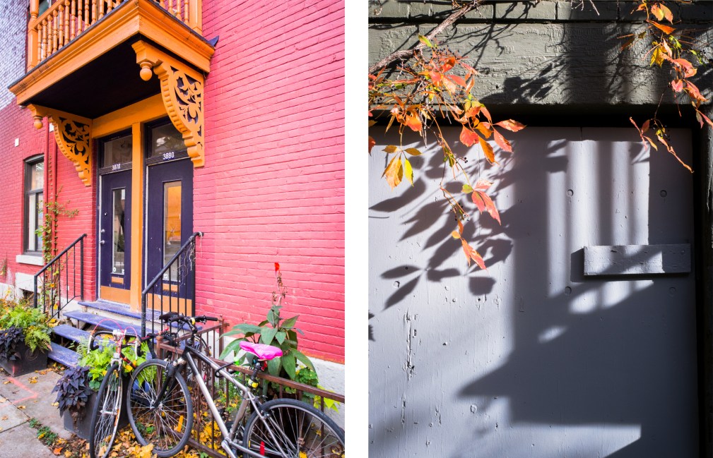 canada, plateau, mont royal, street