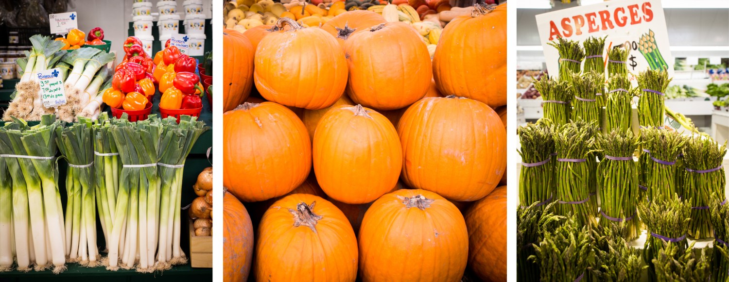 canada, plateau, mont royal, street