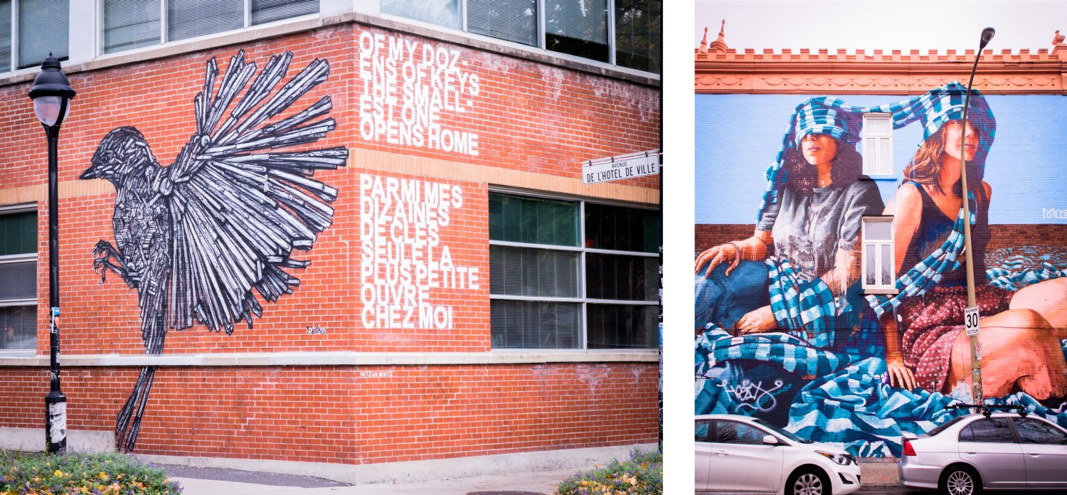 canada, plateau, mont royal, street