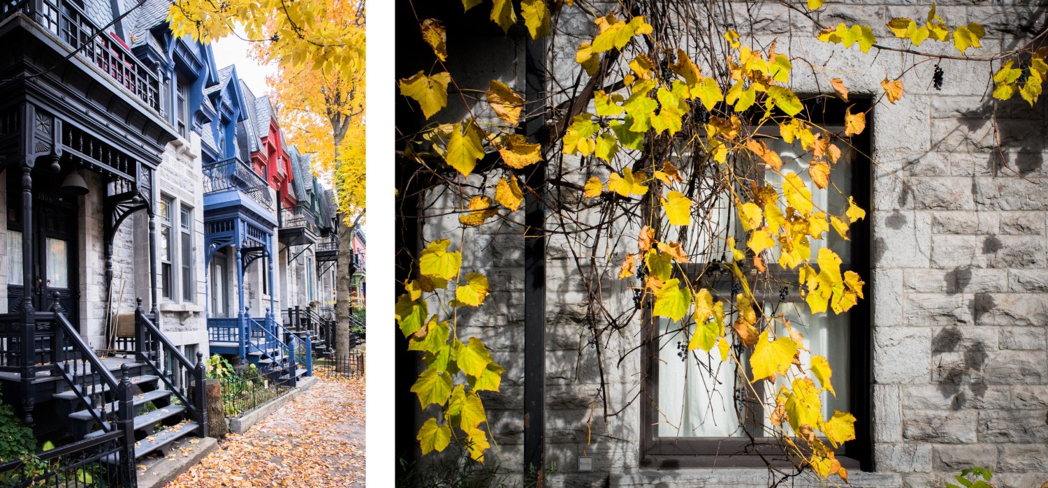 canada, plateau, mont royal, street